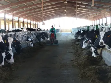 Explotación ganadera de Castilla y León Explotación ganadera de Castilla y León