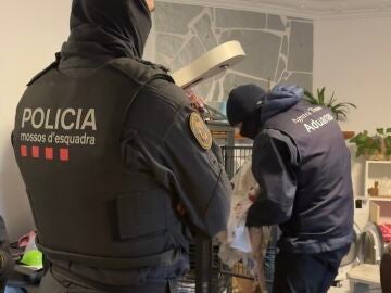 Desarticulada una red internacional de tr&aacute;fico de drogas que operaba desde Figueres (Girona)