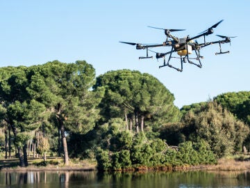 Laguna de San L&aacute;zaro (Villamanrique de la Condesa,Sevilla) donde ha tenido lugar la ejecuci&oacute;n de tratamiento anti mosquito a trav&eacute;s de dron