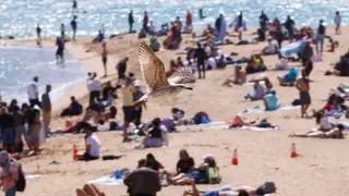 El sol se impone este Sábado Santo, con máximas de más de 25 grados en gran parte del país FOTODELDIA BARCELONA, 04/04/2026.- Aspecto de la playa del barrio de la Barceloneta, en Barcelona, este Sábado Santo. El tiempo anticiclónico se impone este Sábado Santo dejando cielos soleados y temperaturas templadas en la mayor parte del país. EFE/ Quique García