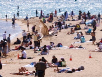 FOTODELDIA BARCELONA, 04/04/2026.- Aspecto de la playa del barrio de la Barceloneta, en Barcelona, este S&aacute;bado Santo. El tiempo anticicl&oacute;nico se impone este S&aacute;bado Santo dejando cielos soleados y temperaturas templadas en la mayor parte del pa&iacute;s. EFE/ Quique Garc&iacute;a 