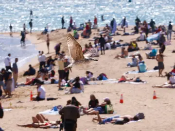 El sol se impone este Sábado Santo, con máximas de más de 25 grados en gran parte del país FOTODELDIA BARCELONA, 04/04/2026.- Aspecto de la playa del barrio de la Barceloneta, en Barcelona, este Sábado Santo. El tiempo anticiclónico se impone este Sábado Santo dejando cielos soleados y temperaturas templadas en la mayor parte del país. EFE/ Quique García