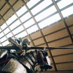 Reapertura de la Real Armer&iacute;a del Palacio Real de Madrid