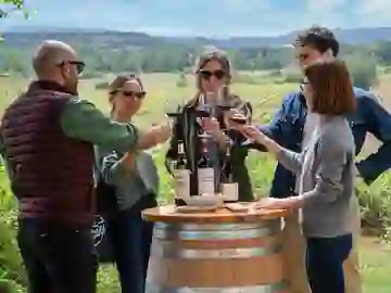 Visitantes a la bodega Rioja Vega brindan en los viñedos Visitantes a la bodega Rioja Vega brindan en los viñedos