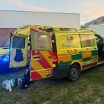 Sucesos.- Detenido el autor de la muerte de un menor en Villanueva de la Ca&ntilde;ada (Madrid)