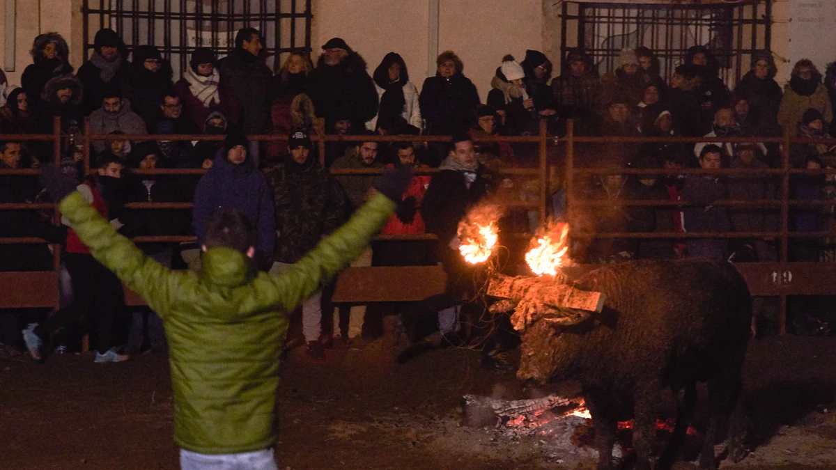 Celebración del Toro Jubilo en Medinaceli