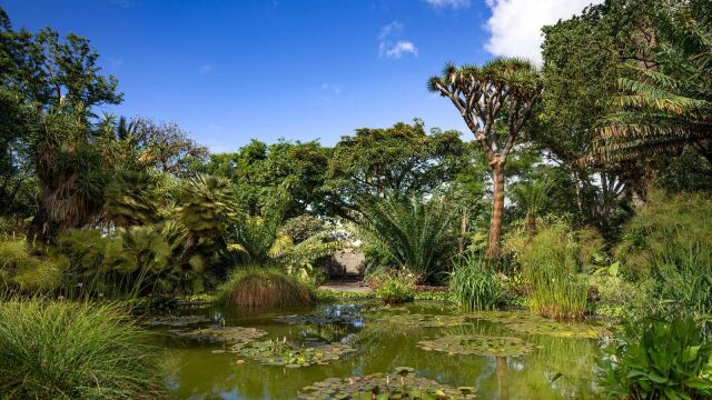Jard&iacute;n de Aclimataci&oacute;n de La Orotava