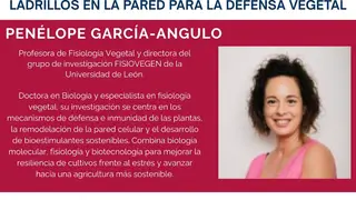Penélope García Angulo, una de las ponentes de la Jornada de Investigadoras de Castilla y León Penélope García Angulo, una de las ponentes de la Jornada de Investigadoras de Castilla y León