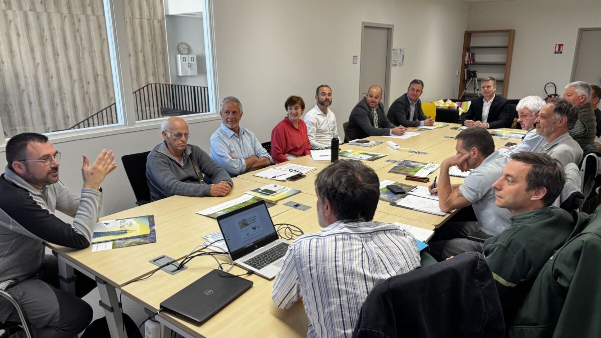 Junta, Miteco y la Región de Occitania de Francia prorrogan hasta 2028 el protocolo para la recuperación del urogallo en la Cordillera Cantábrica