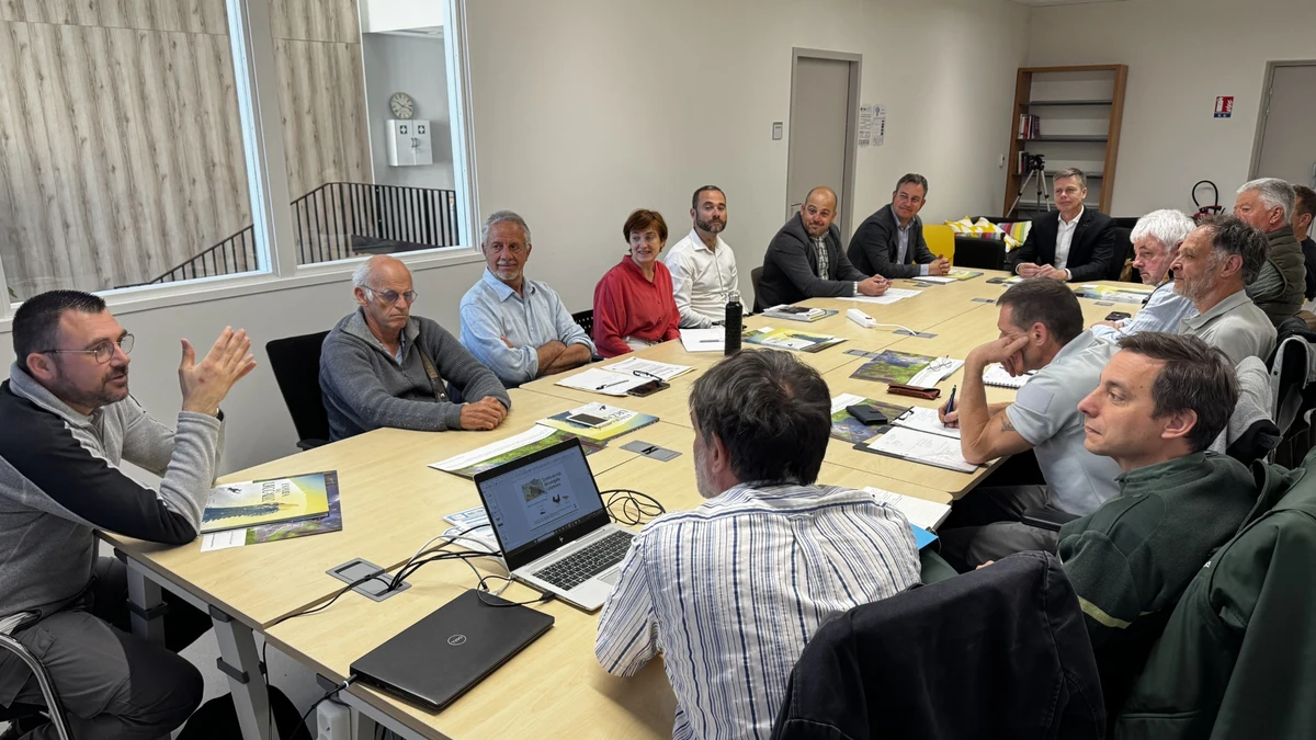 Junta, Miteco y la Región de Occitania de Francia prorrogan hasta 2028 el protocolo para la recuperación del urogallo en la Cordillera Cantábrica