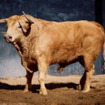 "Jarrero", n&ordm; 30