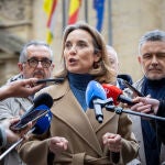 El PP pide parar la regularizaci&oacute;n de inmigrantes tras el dictamen del Consejo de Estado