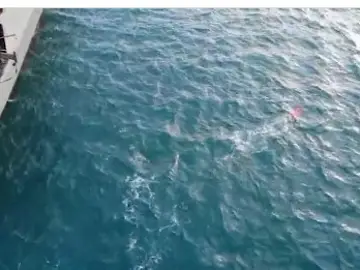 El "Tambre", en elmomento de desplegal el "Pluto" El "Tambre", en elmomento de desplegal el "Pluto"