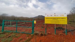 Parcela de Ensayo de El Cabaco