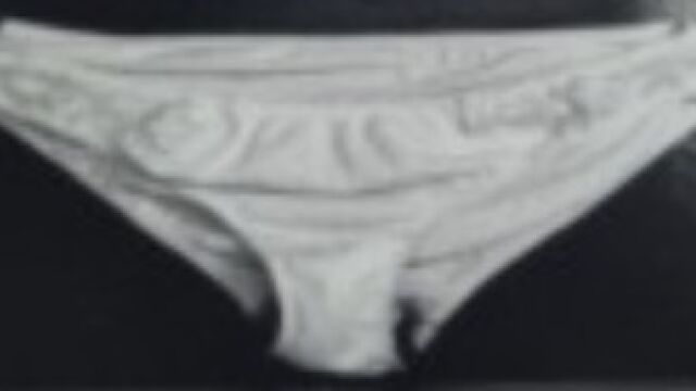 La etarra ten&iacute;a escondida una pistola del 6,35 escondida entre sus partes &iacute;ntimas y las bragas