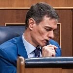 Una escritora acusa a S&aacute;nchez de usar IA para escribir su carta a la ciudadan&iacute;a