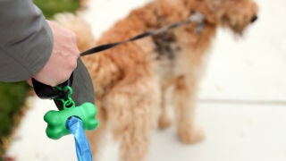 Recoger los excrementos de las mascotas como los perros es una obligaci&oacute;n ciudadana y los due&ntilde;os, de no hacerlo, se enfrentan a importantes multas