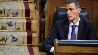El presidente del Gobierno, Pedro Sánchez, durante un pleno extraordinario, en el Congreso de los Diputados Los miembros expulsados por Sánchez de la Internacional Socialista desterrados de la cumbre de Barcelona