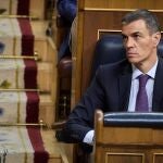 El presidente del Gobierno, Pedro S&aacute;nchez, durante un pleno extraordinario, en el Congreso de los Diputados