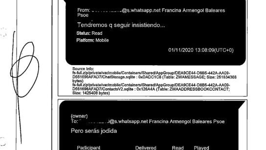 La confianza de Koldo con Armengol que revela un nuevo informe de la ...