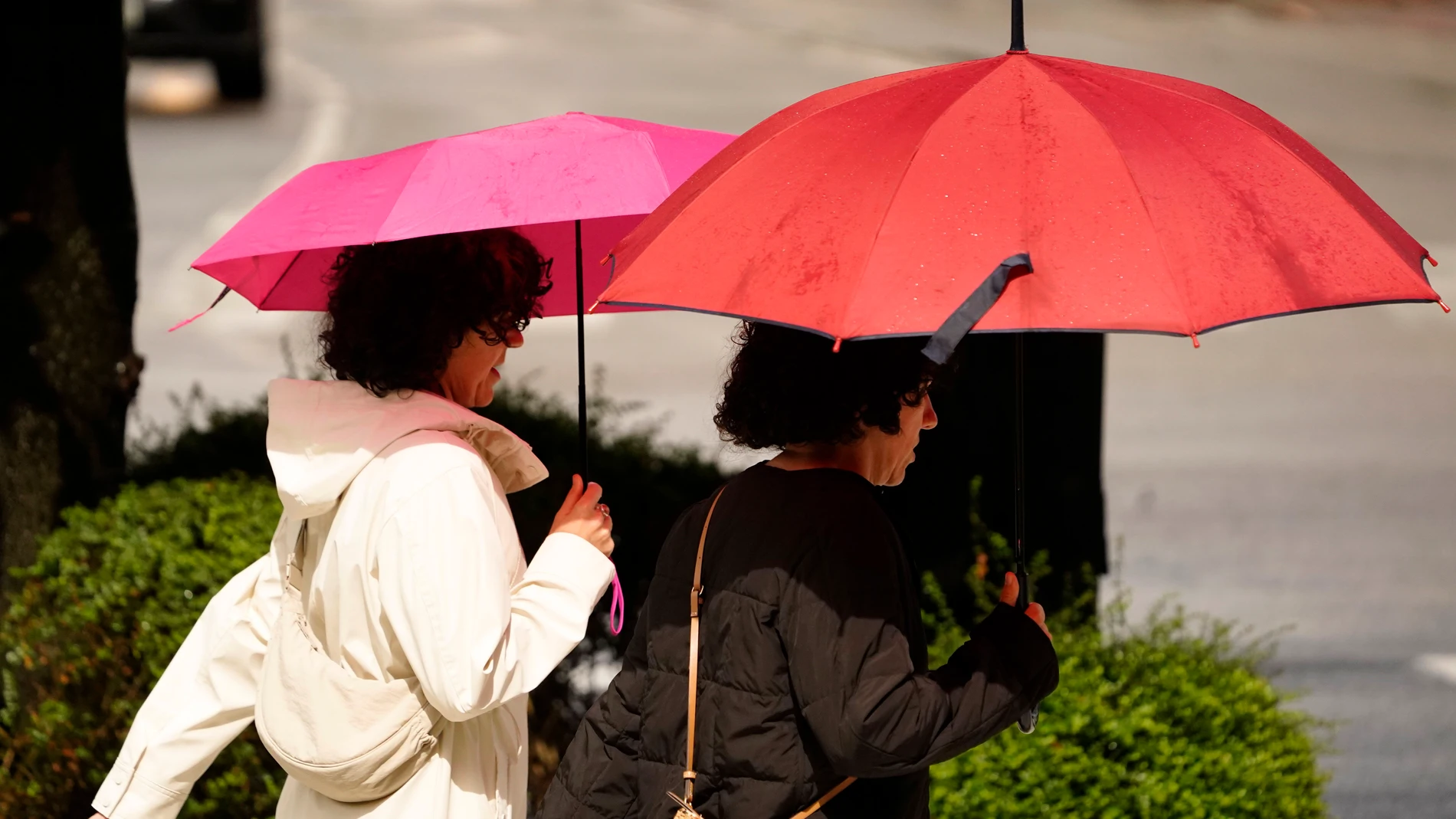 Alerta Roja en España: Lluvias torrenciales amenazan varias regiones