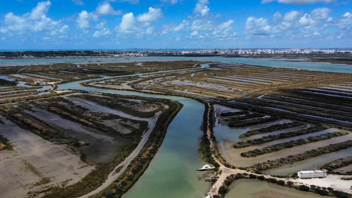 Narcolanchas en Cádiz