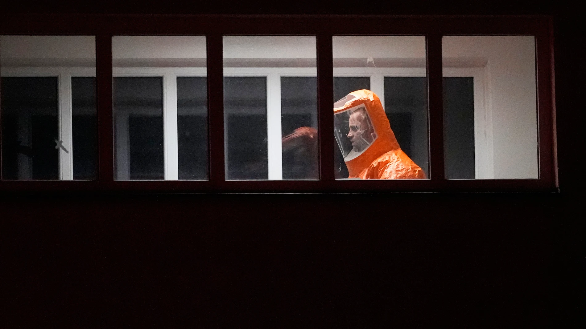De Ébola a 'Virus Zombis': Las Alarmas Virales que nos Preocupan
