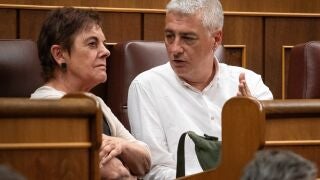 Bildu insiste: la corrupción en el PSOE no es "excusa" para un Gobierno ...