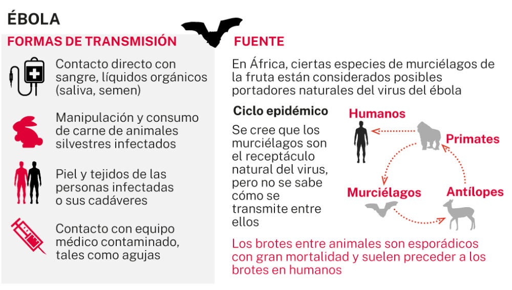 Transmisión del ébola