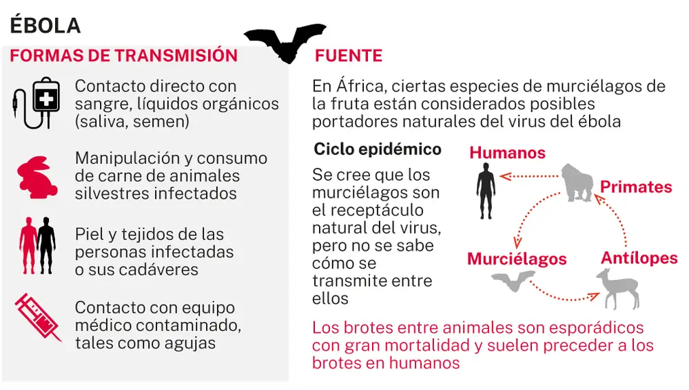 Transmisión del ébola
