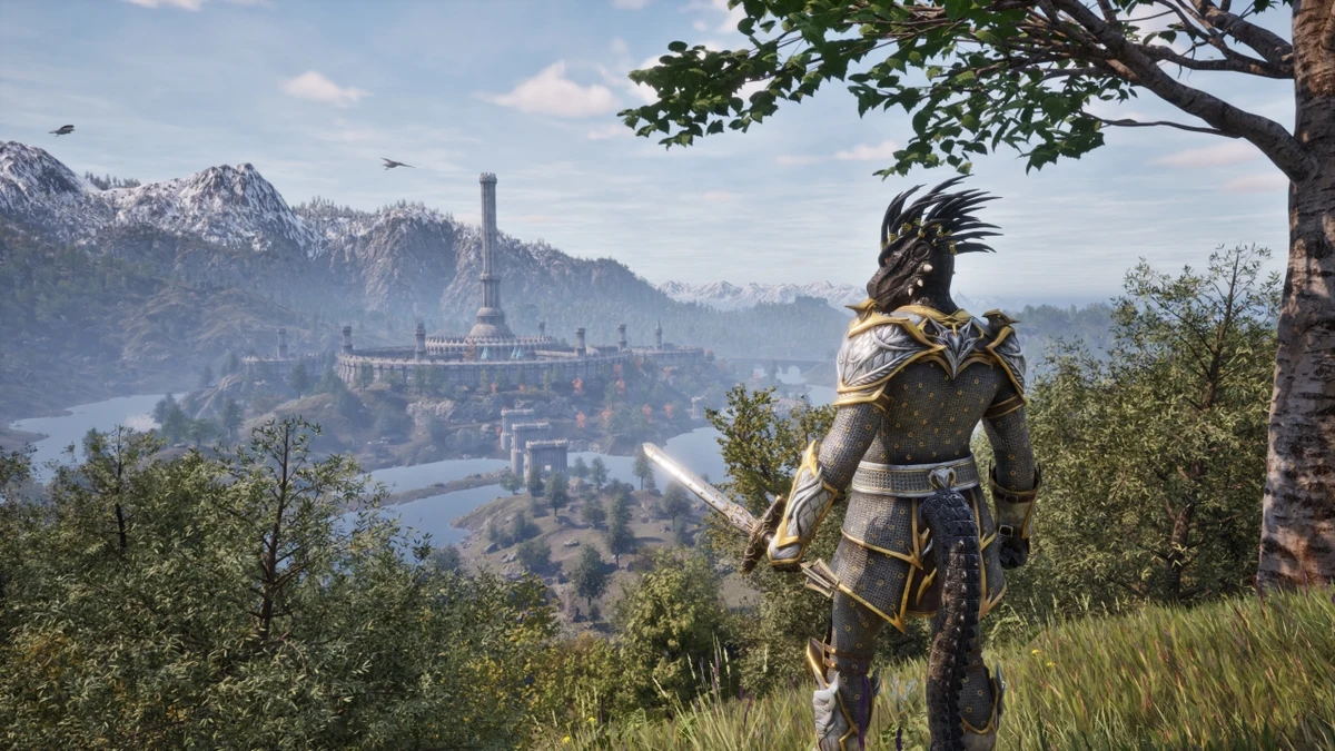 The Elder Scrolls Bethesda portada