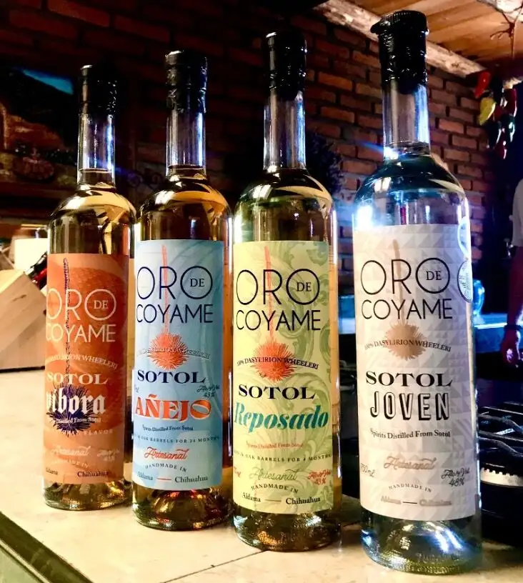 Botellas de sotol, el destilado local con denominación de origen