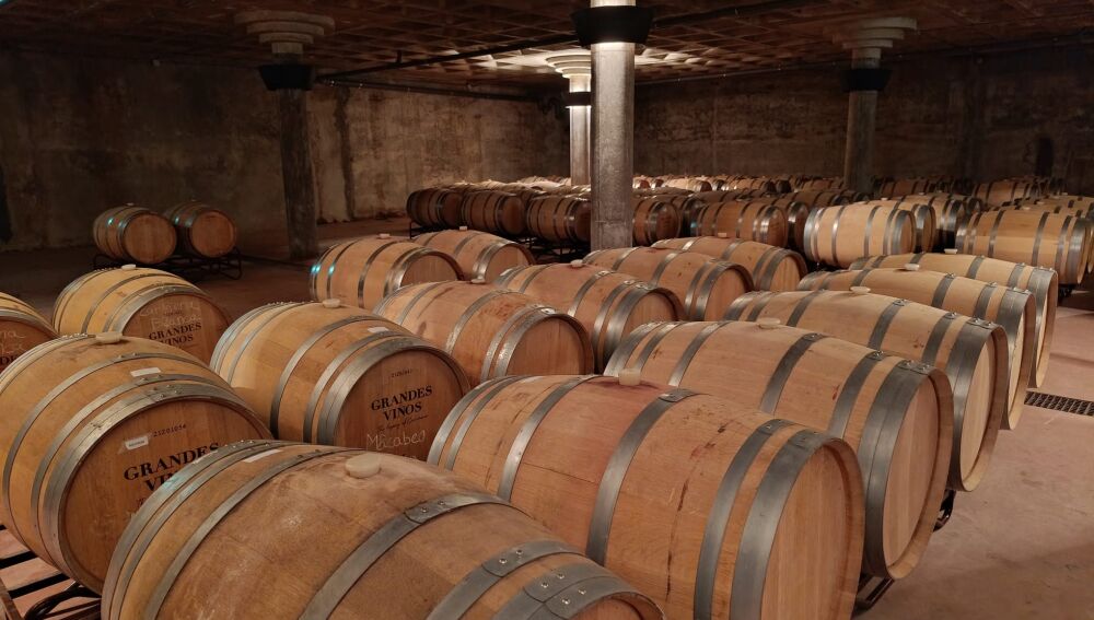 Nave de barricas de Grandes Vinos, D.O.Cariñena