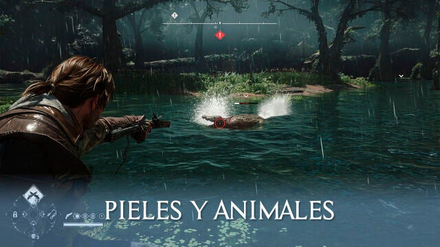 Todas las pieles de animales y cazas en Assassin's Creed Black Flag Resynced