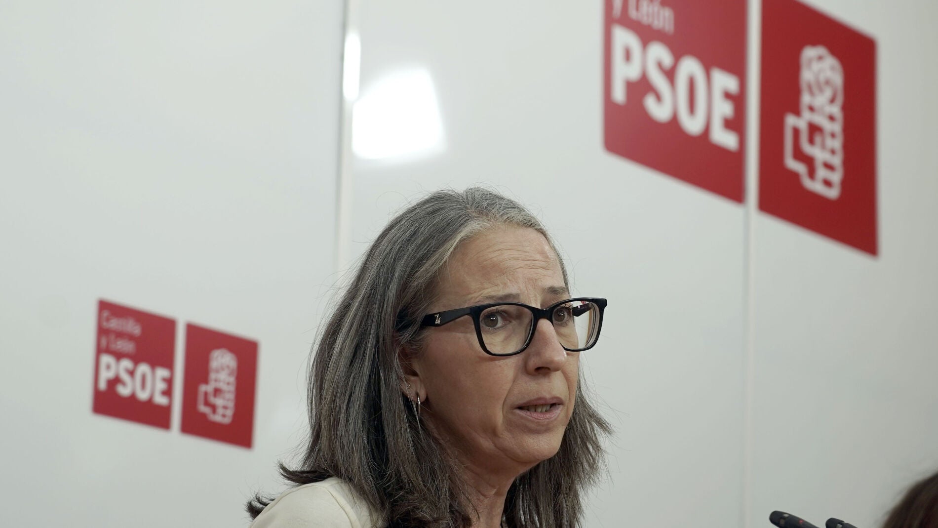 El PSOE de Martínez arremete contra Vox por su plan de desregulación: "Es un disparate"