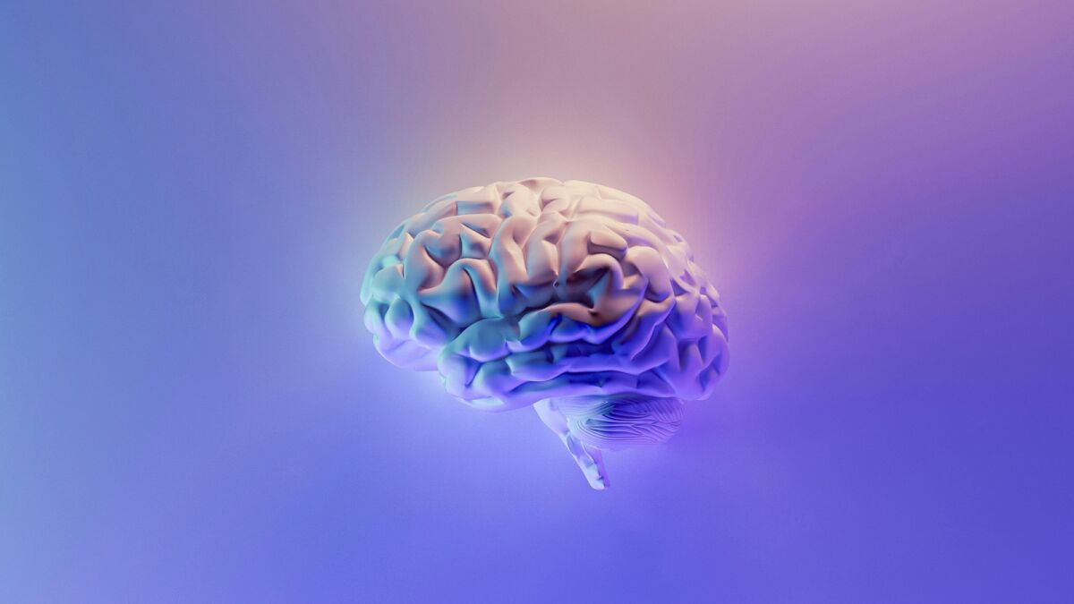 Meta AI Brain2Qwerty Translates Brain Signals to Text