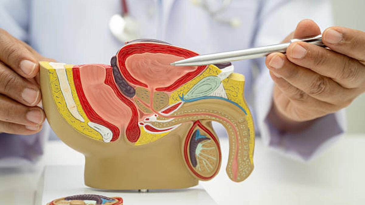 Arnau de Vilanova Hospital starts steam prostate therapy