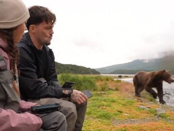 El aterrador encuentro de dos streamers con un oso pardo en directo: "Pensé que todo había terminado"