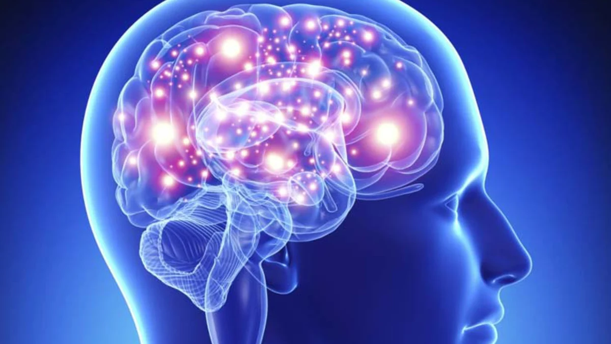 Muchos pacientes con lesión cerebral aguda que parecen estar en coma en realidad conservan cierto grado de conciencia