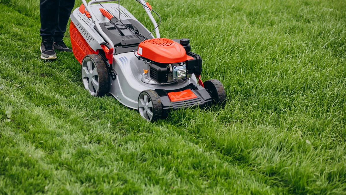 Se insta a los jardineros a realizar una tarea en el césped durante el mes de septiembre para “reparar zonas dañadas y fortalecer el césped”