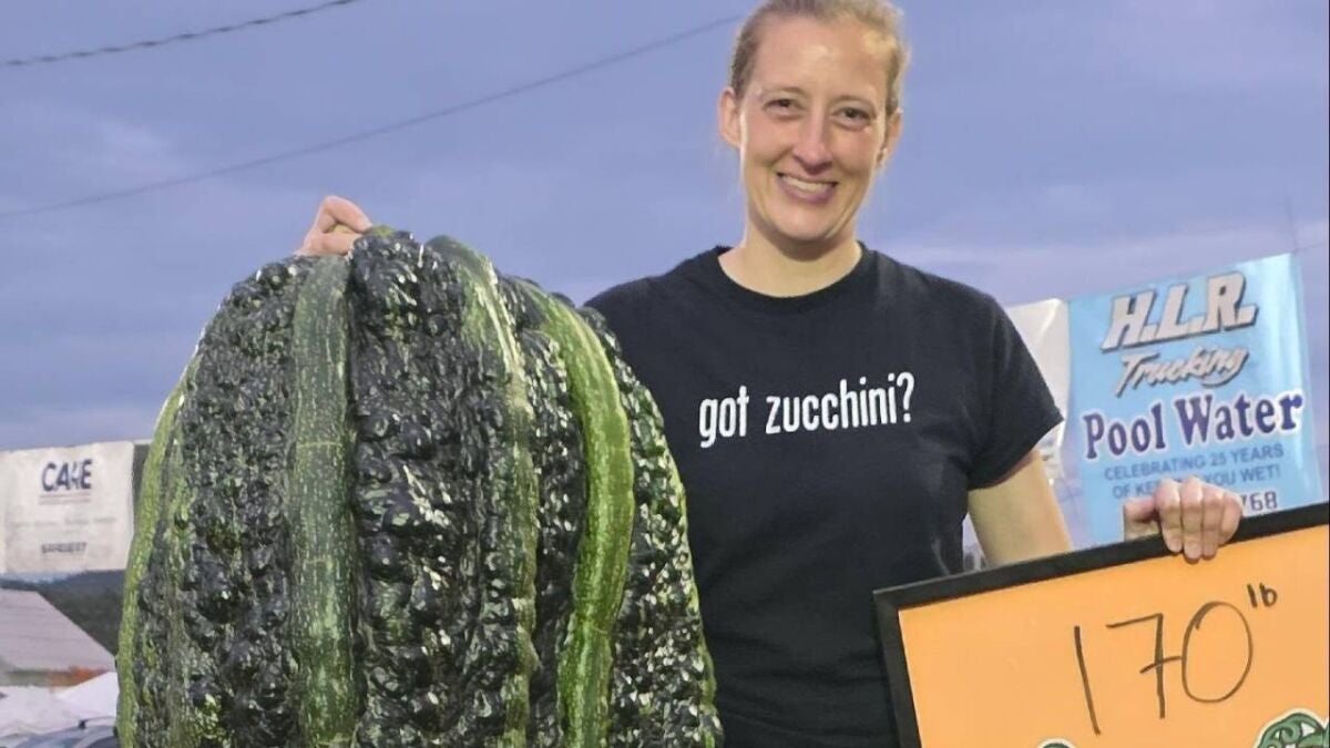 Una tiktoker rompe uno de los récords más espectaculares al sembrar un calabacín de más de 75 kilos