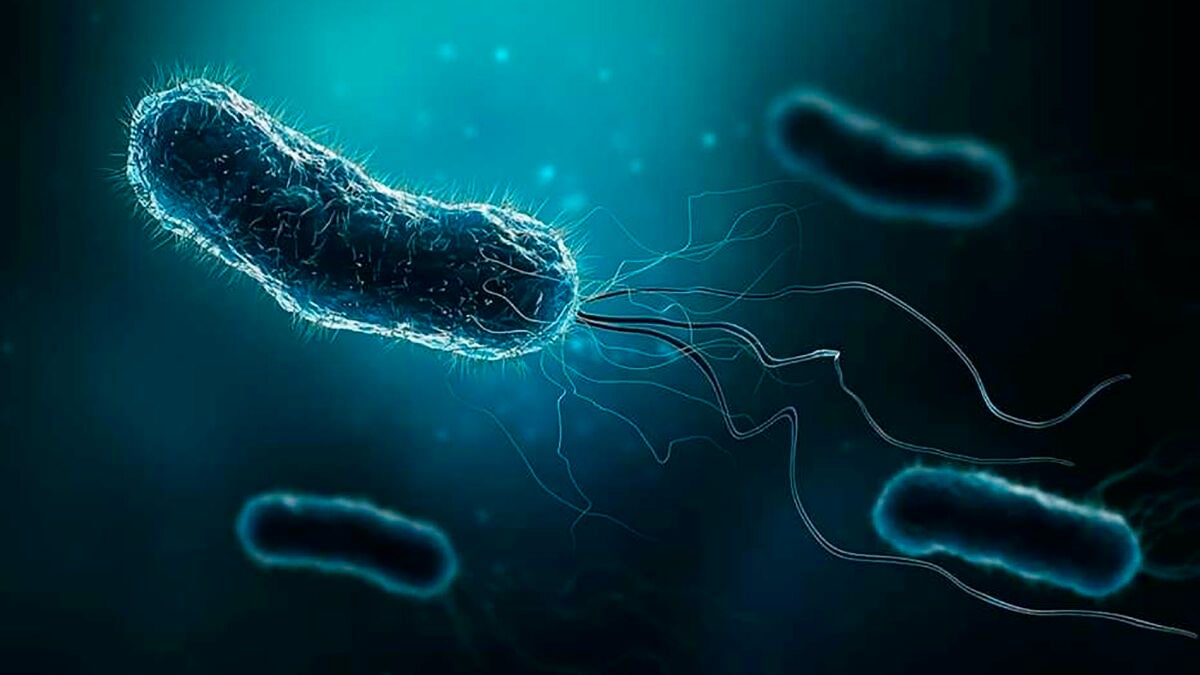 Infections linked to 2.3 million cancer cases in 2024