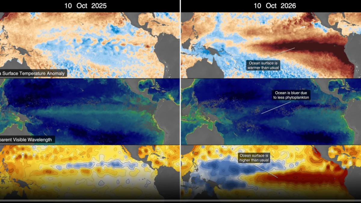 La NASA compara las anomalías de la temperatura superficial del mar, la longitud de onda visible y la altura del océano en 2025 y 2026 para mostrar las señales del fenómeno de El Niño