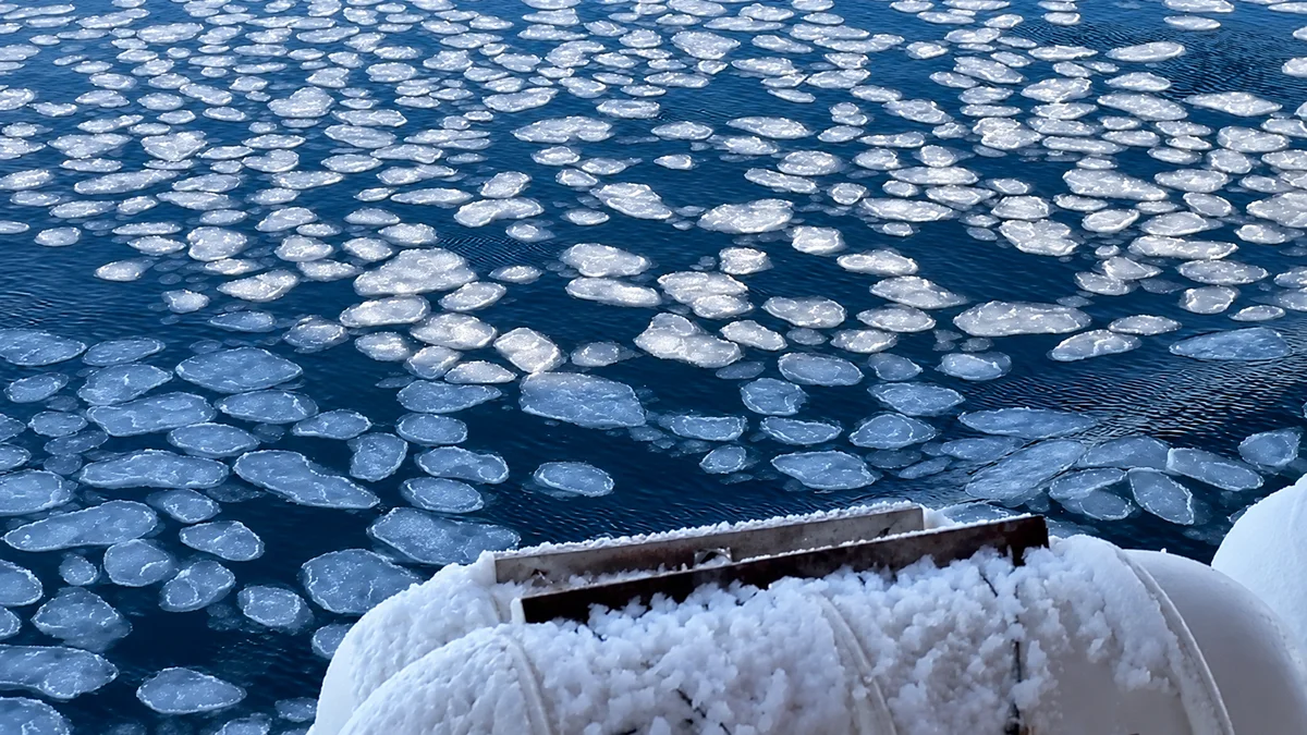 Fragmentos de hielo marino
