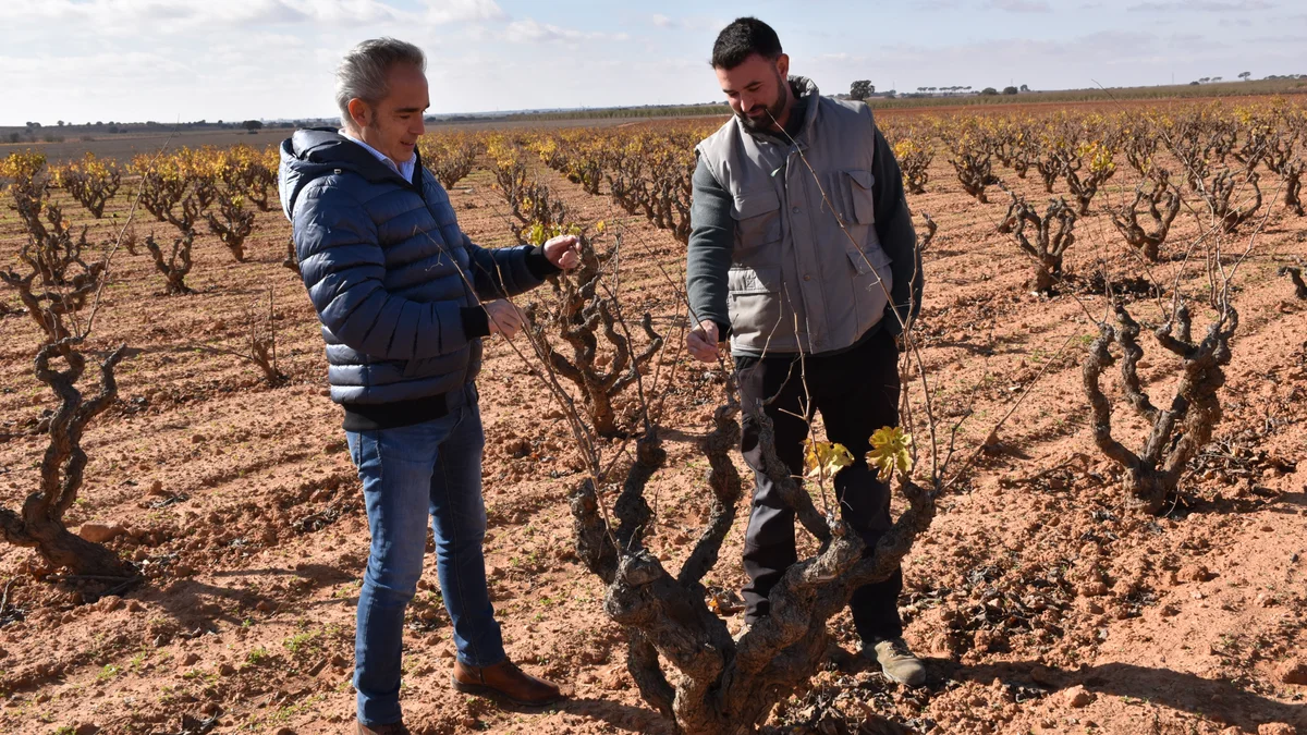 Castilla-La Mancha amplía en 21 millones de euros la última convocatoria de ayudas a la incorporación de jóvenes agricultores y a los planes de mejora de explotaciones