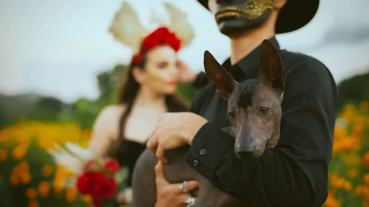 México reconoce el legado del xoloitzcuintle, el perro que guiaba a las almas al inframundo según la tradición mexica